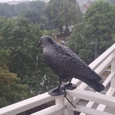 2pokojowy Przy Starowce W Kolobrzegu Kolobrzeg