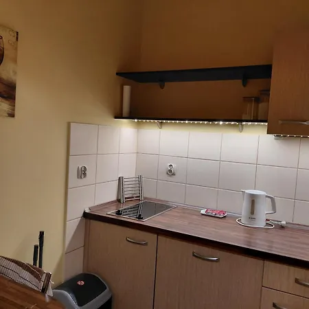 Jasny Z Widokiem Na Kolobrzeska Katedre * Kołobrzeg