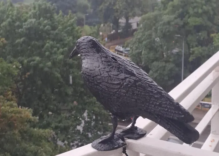 2pokojowy Przy Starowce W Kolobrzegu Kolobrzeg