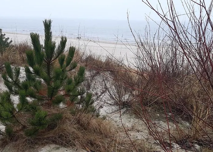 Jasny Z Widokiem Na Kolobrzeska Katedre *