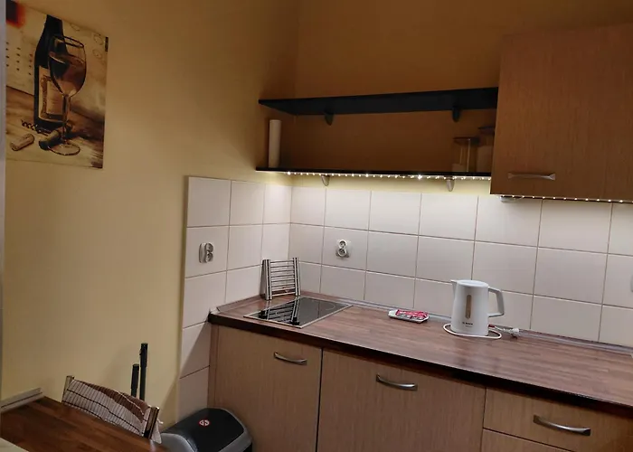 Jasny Z Widokiem Na Kolobrzeska Katedre * Kołobrzeg